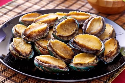 活體急速冷凍半殼鮑魚26~30P5