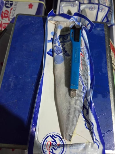 挪威薄鹽鯖魚片19P21