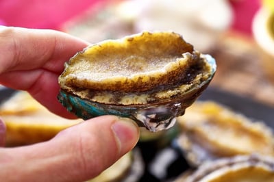 活體急速冷凍半殼鮑魚26~30P6