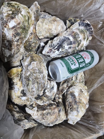 宮城超級大全殼活凍生蠔9