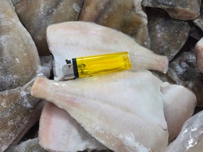 黃金鰈魚4