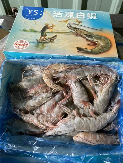 YS活凍白蝦3