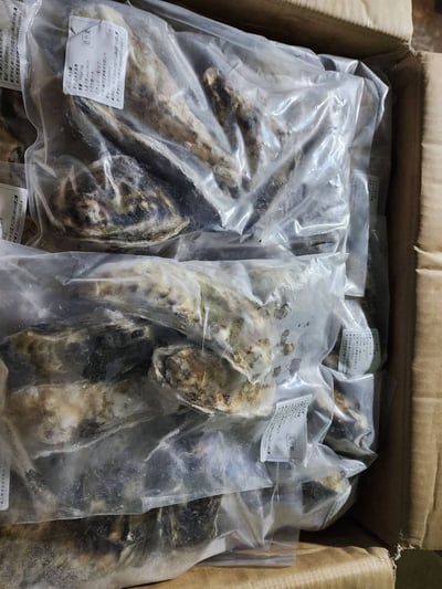 日本宮城全殼生蠔6