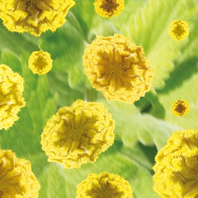 複方薰香油10ml｜貓說可以 Oil Burner Blend 10ml｜Whisker Bliss5