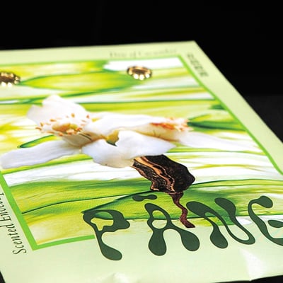 菱殼炭信封香氛袋 | 青晨橙露 Scented Envelope｜Dew of Cucumber2