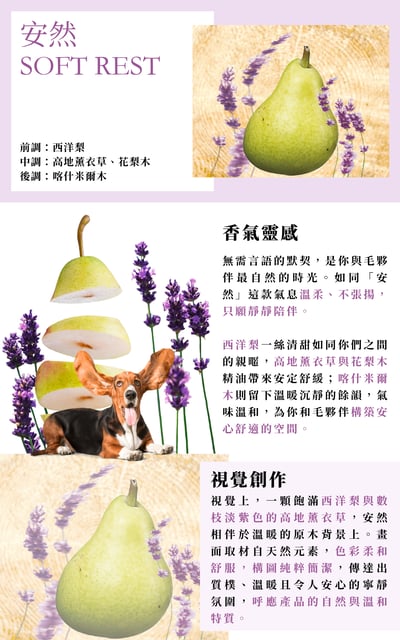 試香片 Scented Card Sample12