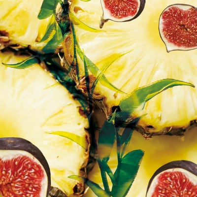 複方薰香油10ml｜鳳果春茶 Oil Burner Blend 10ml｜Golden Fig Tea5