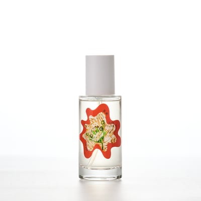 空間織品香氛噴霧100ml｜茶蕨 Room & Fabric Spray 100ml｜Fern Murmur2