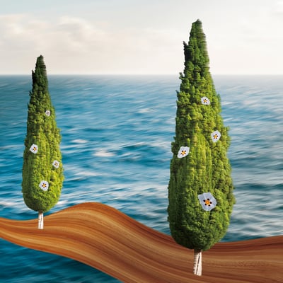 複方薰香油10ml｜藍嶼木 Oil Burner Blend 10ml｜Driftwood Isle5