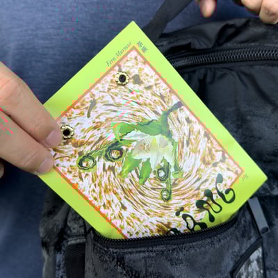 菱殼炭信封香氛袋 | 茶蕨 Scented Envelope｜Fern Murmur4