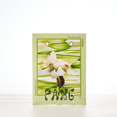 菱殼炭信封香氛袋 | 青晨橙露 Scented Envelope｜Dew of Cucumber1