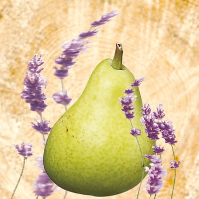 複方薰香油10ml｜安然 Oil Burner Blend 10ml｜Soft Rest5