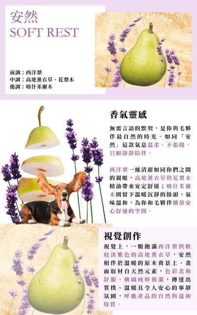 複方薰香油10ml｜安然 Oil Burner Blend 10ml｜Soft Rest6