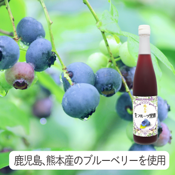 桷志田鮮果黑醋200ml-藍莓2