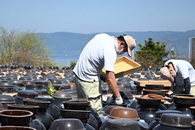 桷志田３年熟成黑醋＆洋蔥黑醋沙拉醬禮盒2