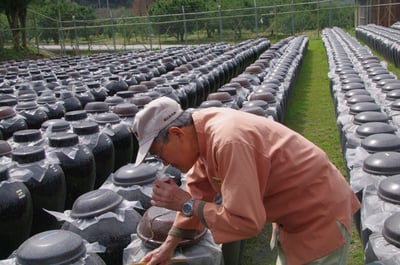 桷志田十年熟成黑醋(天の調)-100ml2