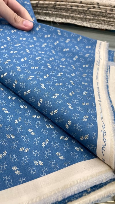 MODA【Elinore's Endeavor 1830-1910（藍色系）】Betsy Chutchian5