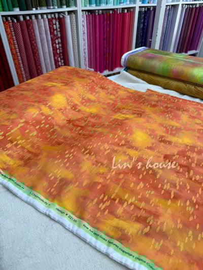 Robert Kaufman《Chromaticity》4