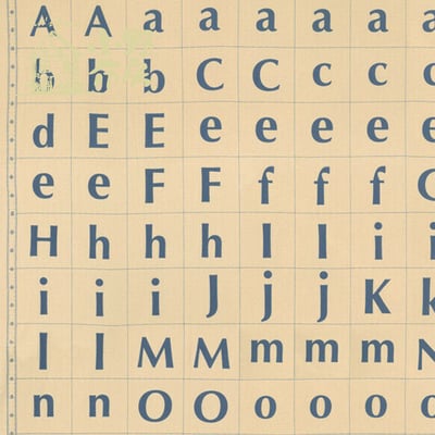 American Jane【簡約英文字母IT'S ELEMENTARY】10