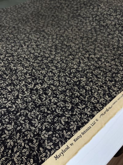 MARYLAND by Kathy Schmitz16