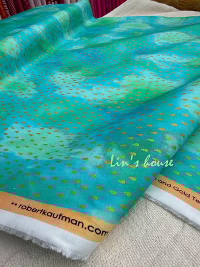 Robert Kaufman《Chromaticity》3