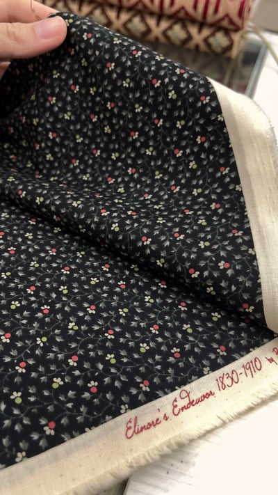 MODA【Elinore's Endeavor 1830-1910（黑色）】Betsy Chutchian5