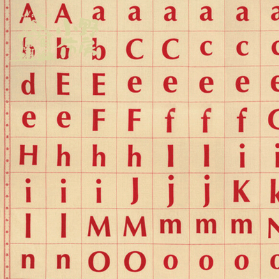 American Jane【簡約英文字母IT'S ELEMENTARY】1