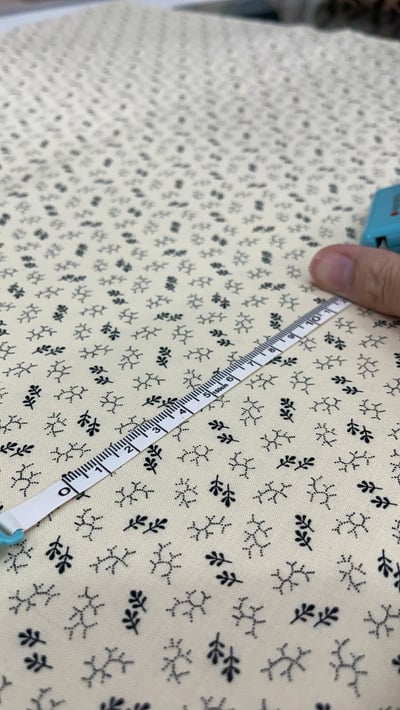 MODA【Elinore's Endeavor 1830-1910（米色/灰色）】Betsy Chutchian3