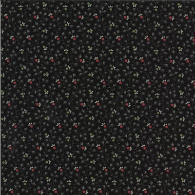 MODA【Elinore's Endeavor 1830-1910（黑色）】Betsy Chutchian4