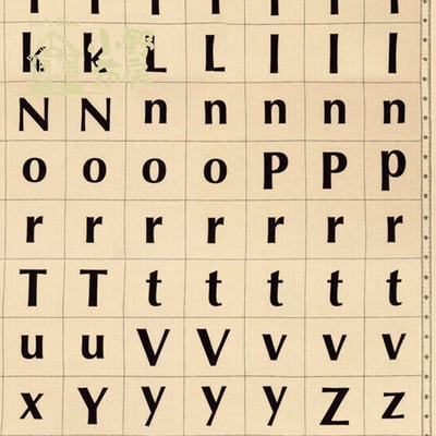 American Jane【簡約英文字母IT'S ELEMENTARY】6