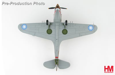 1/48 HM P-40B 飛虎隊 第三中隊 地獄天使 羅伯特·史密斯座機 1942年 昆明5
