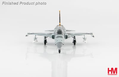 HM 1/72 國軍 F-5E + F-5F 台東虎斑彩繪機 雙機組5