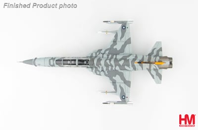HM 1/72 國軍 F-5E + F-5F 台東虎斑彩繪機 雙機組9