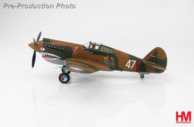 1/48 HM P-40B 飛虎隊 第三中隊 地獄天使 羅伯特·史密斯座機 1942年 昆明2