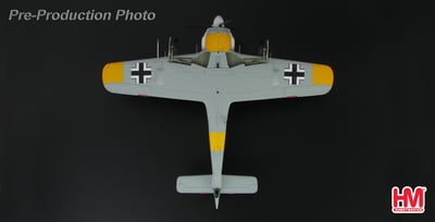 1/48 HM FW190A-4 第54戰鬥機聯隊 王牌飛行員漢內斯·特勞洛夫特座機 1943年東線5