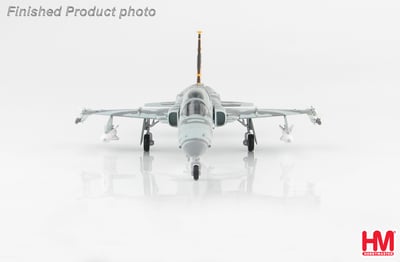 HM 1/72 國軍 F-5E + F-5F 台東虎斑彩繪機 雙機組10