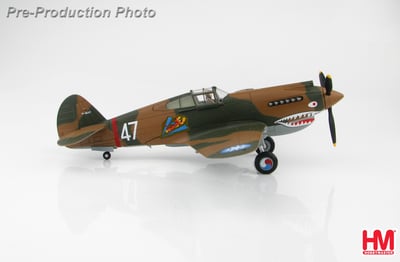 1/48 HM P-40B 飛虎隊 第三中隊 地獄天使 羅伯特·史密斯座機 1942年 昆明1