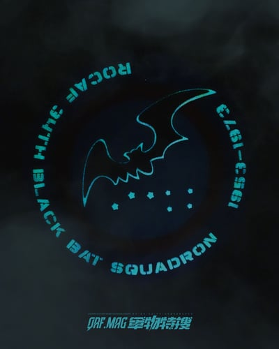 黑蝙蝠中隊 空軍第三十四偵查中隊 PVC 紀念章2
