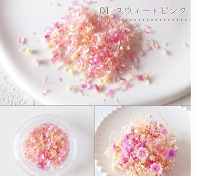 GreenOcean乾燥碎花瓣4