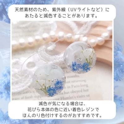 GreenOcean Crispy Pam乾燥花10