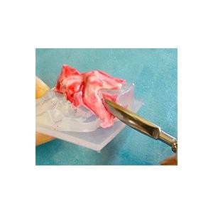 floree迷你金魚模具3