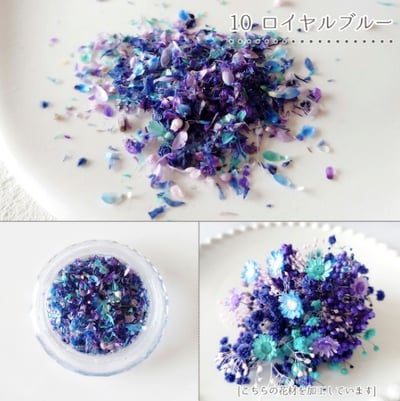 GreenOcean乾燥碎花瓣13