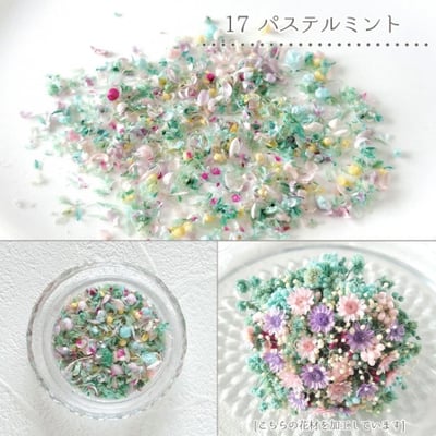 GreenOcean乾燥碎花瓣20