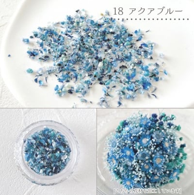 GreenOcean乾燥碎花瓣21