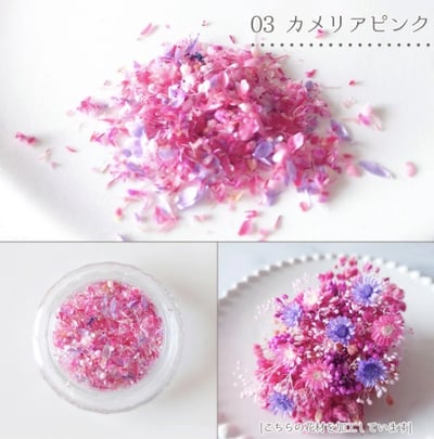 GreenOcean乾燥碎花瓣6