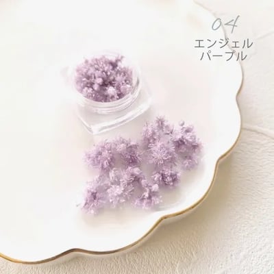 GreenOcean Crispy Pam乾燥花6