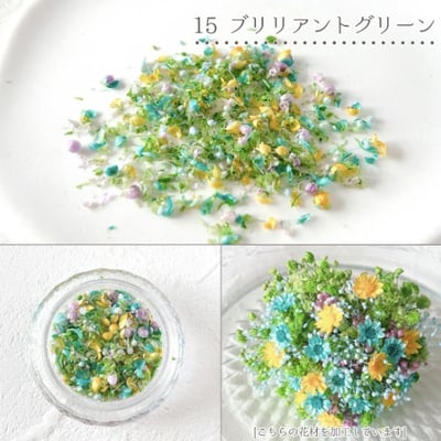 GreenOcean乾燥碎花瓣18