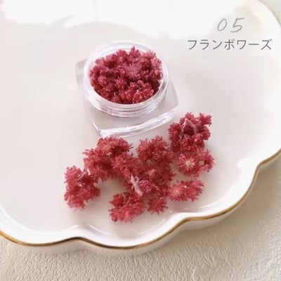 GreenOcean Crispy Pam乾燥花7