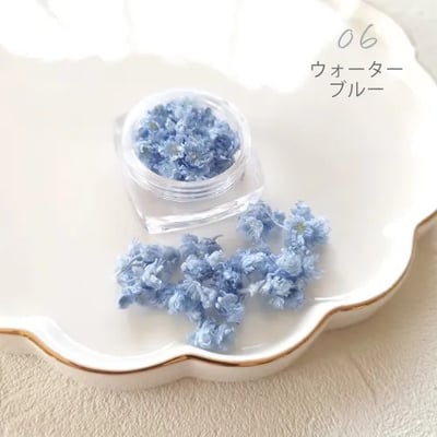 GreenOcean Crispy Pam乾燥花8