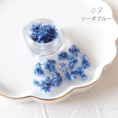 GreenOcean Crispy Pam乾燥花9